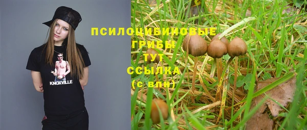 МДПВ Балахна