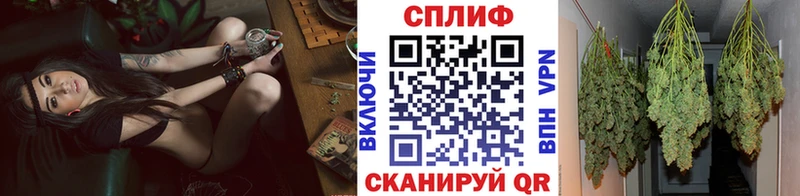 продажа наркотиков  Макарьев  Каннабис индика 